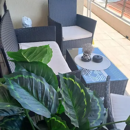 Veneta Apartment *